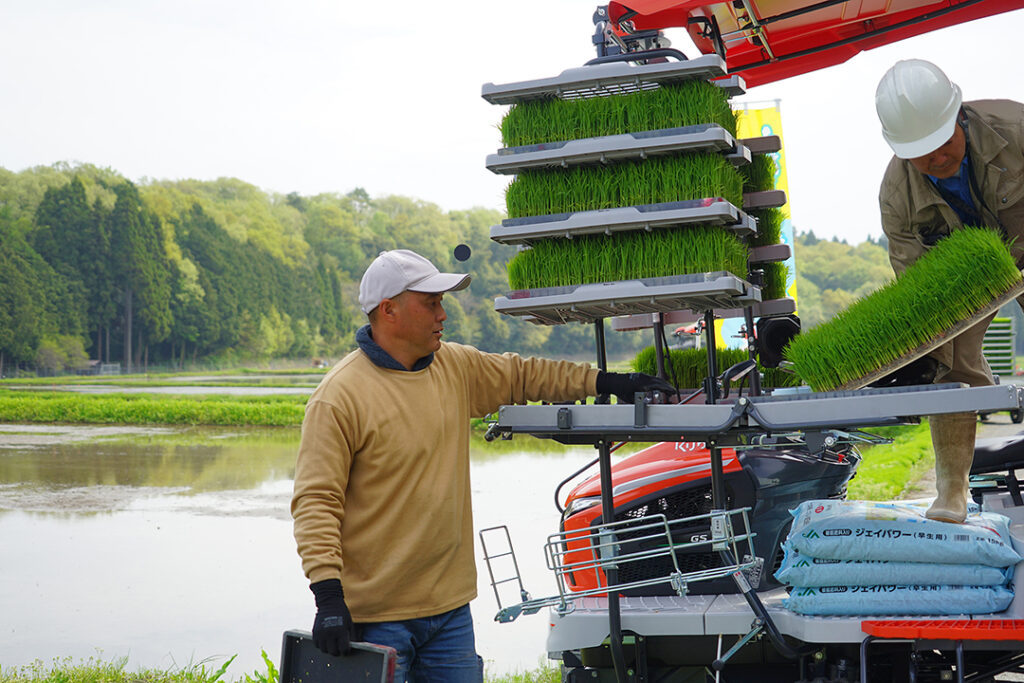 田植え作業はじまりました！